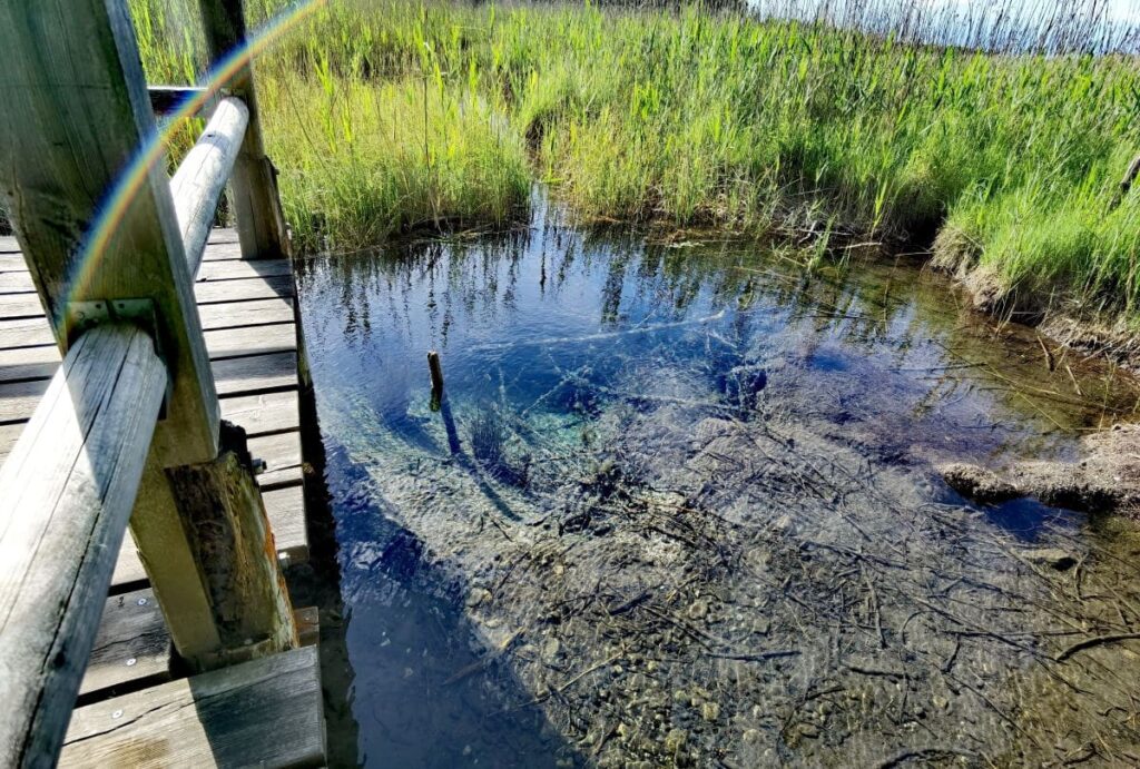 Die Blaue Gumpe - reinstes Quellwasser, das in die Osterseen fließt