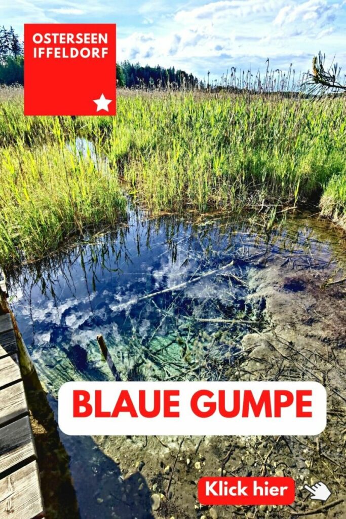 Blaue Gumpe