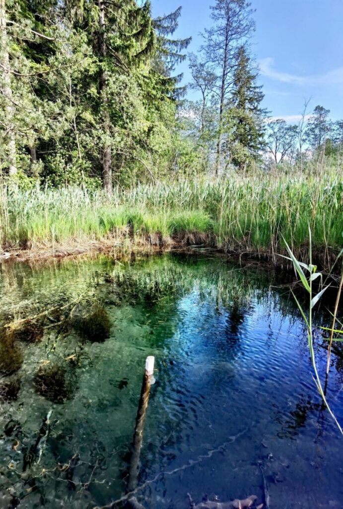 Das ist die Blaue Gumpe bei den Osterseen