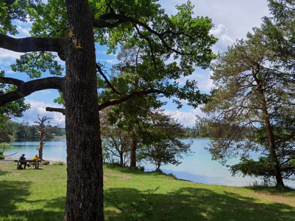 Leichte Rundwanderung an den Osterseen wandern - um den Fohnsee