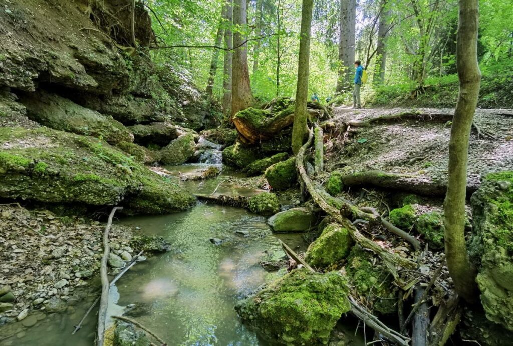 Osterseen München Alternative: Die Maisinger Schlucht 